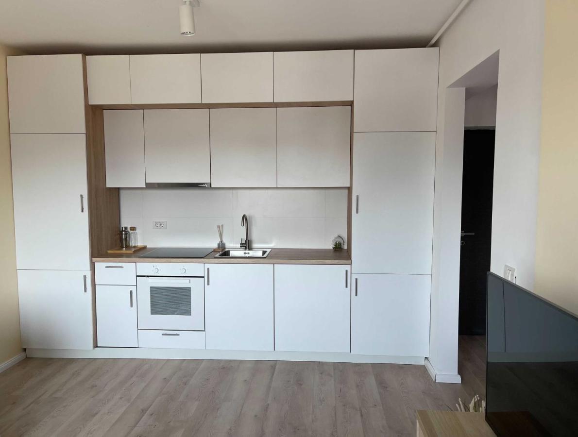 Oasis Luxury Apartment Near Presidential Palace Bükreş Dış mekan fotoğraf
